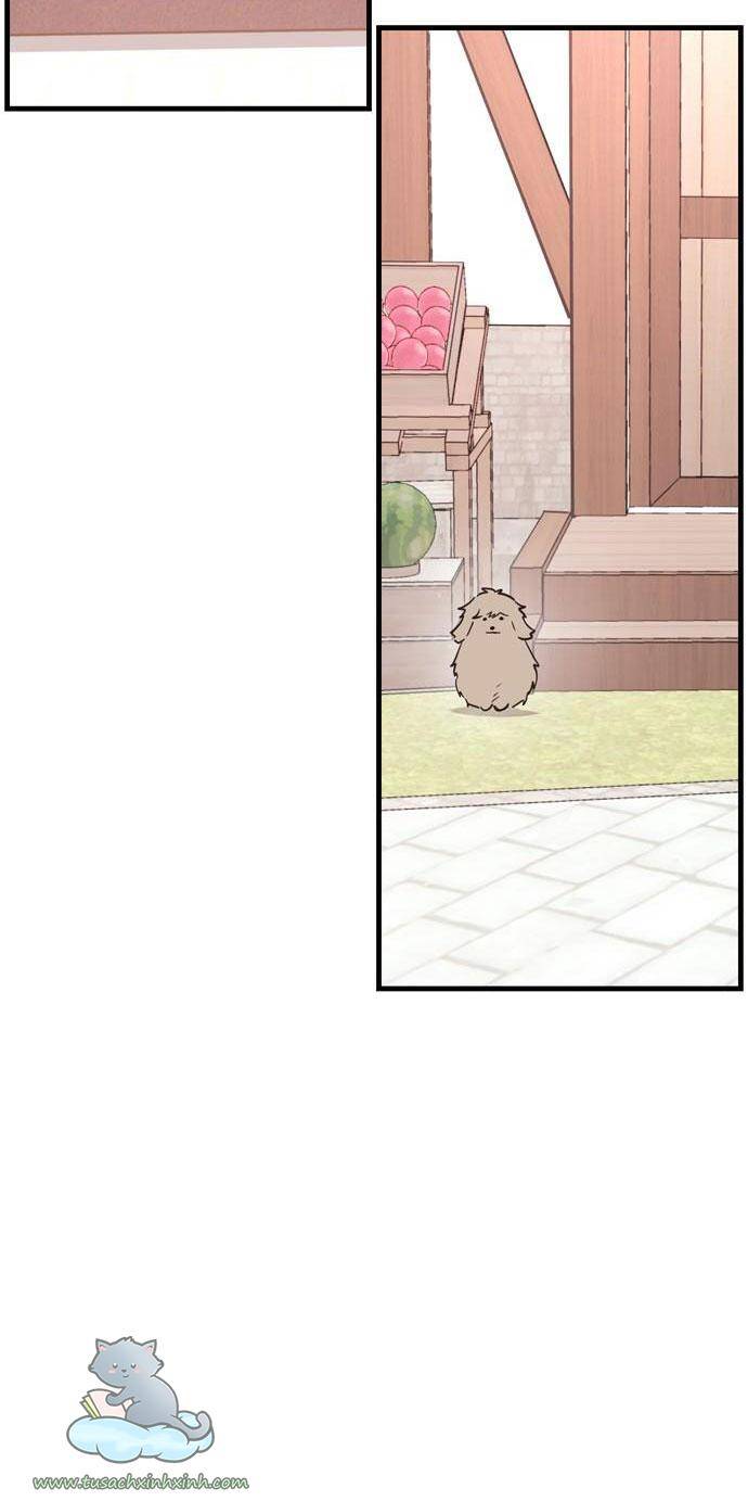 Căn Hộ Ký Túc Xá Của Pháp Sư Chapter 11 - 67