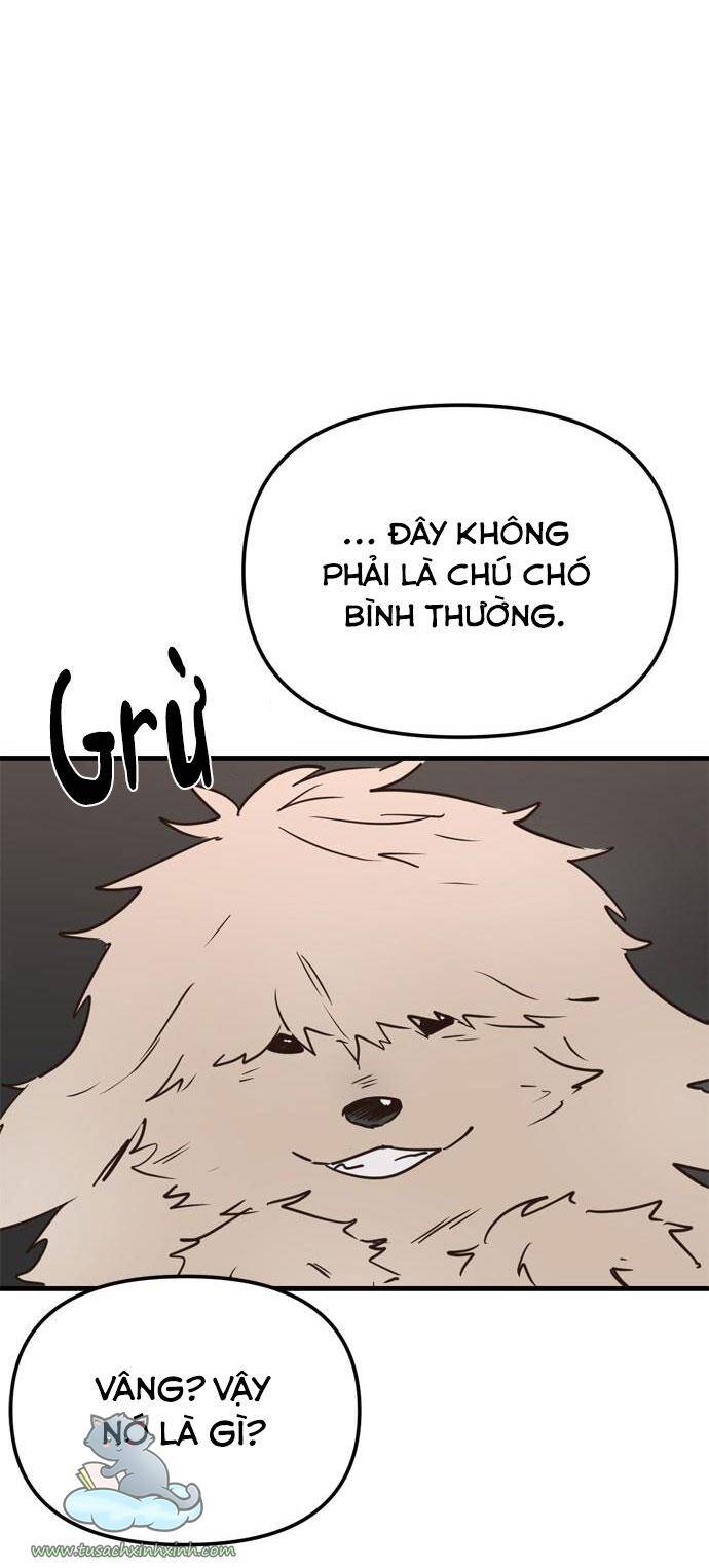 Căn Hộ Ký Túc Xá Của Pháp Sư Chapter 11 - 74