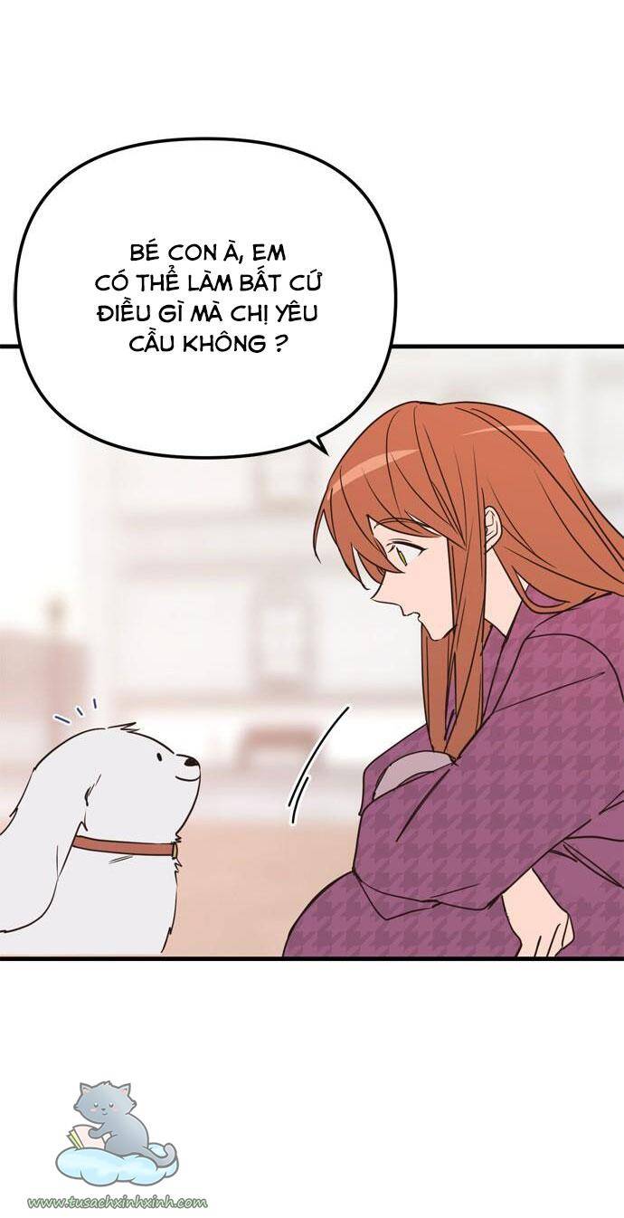 Căn Hộ Ký Túc Xá Của Pháp Sư Chapter 12 - 46