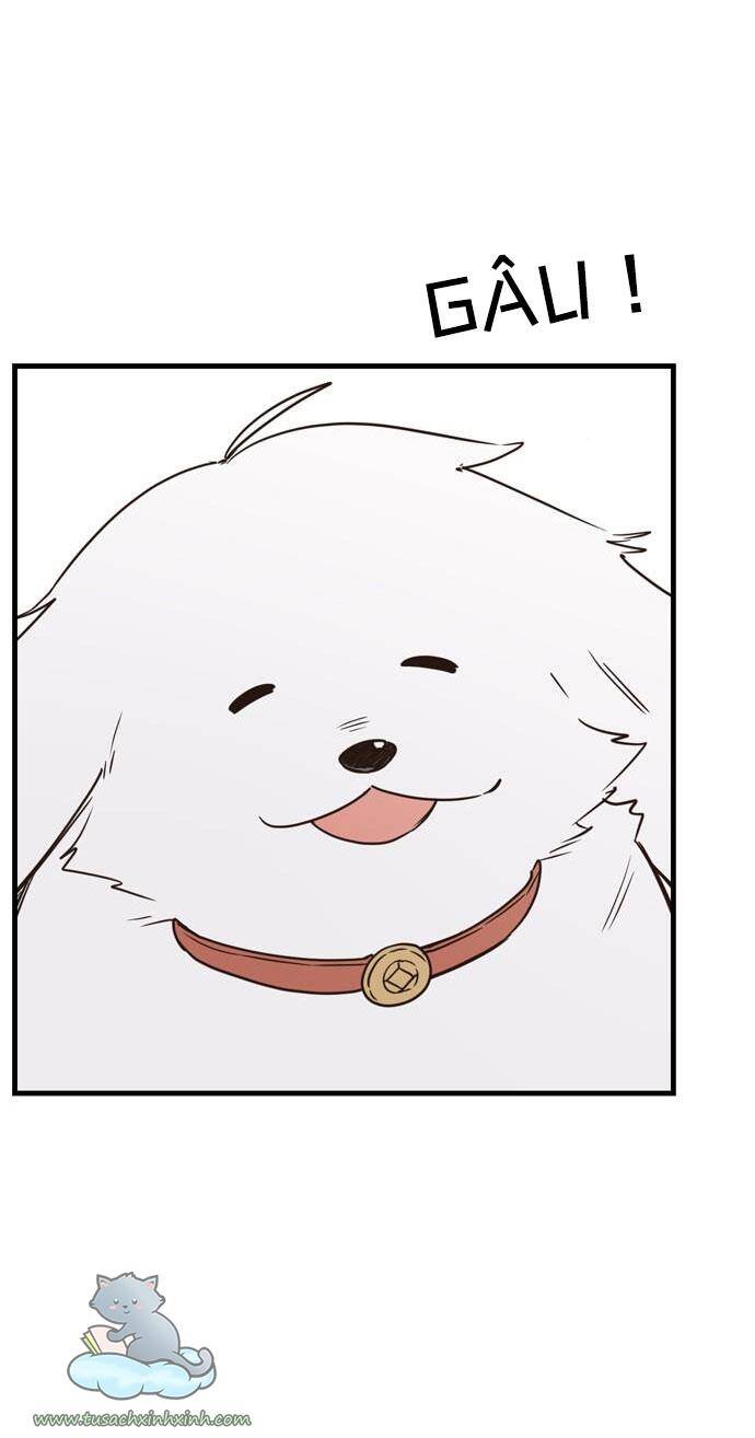 Căn Hộ Ký Túc Xá Của Pháp Sư Chapter 12 - 47