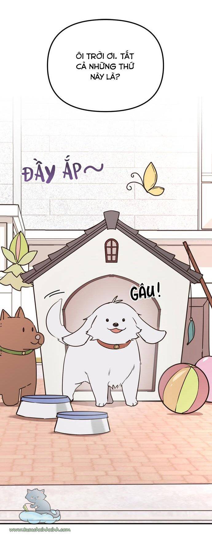 Căn Hộ Ký Túc Xá Của Pháp Sư Chapter 12 - 54