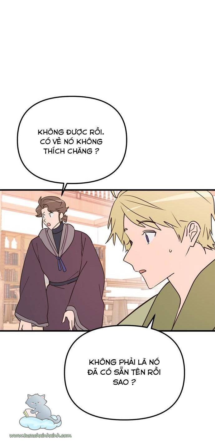 Căn Hộ Ký Túc Xá Của Pháp Sư Chapter 12 - 72