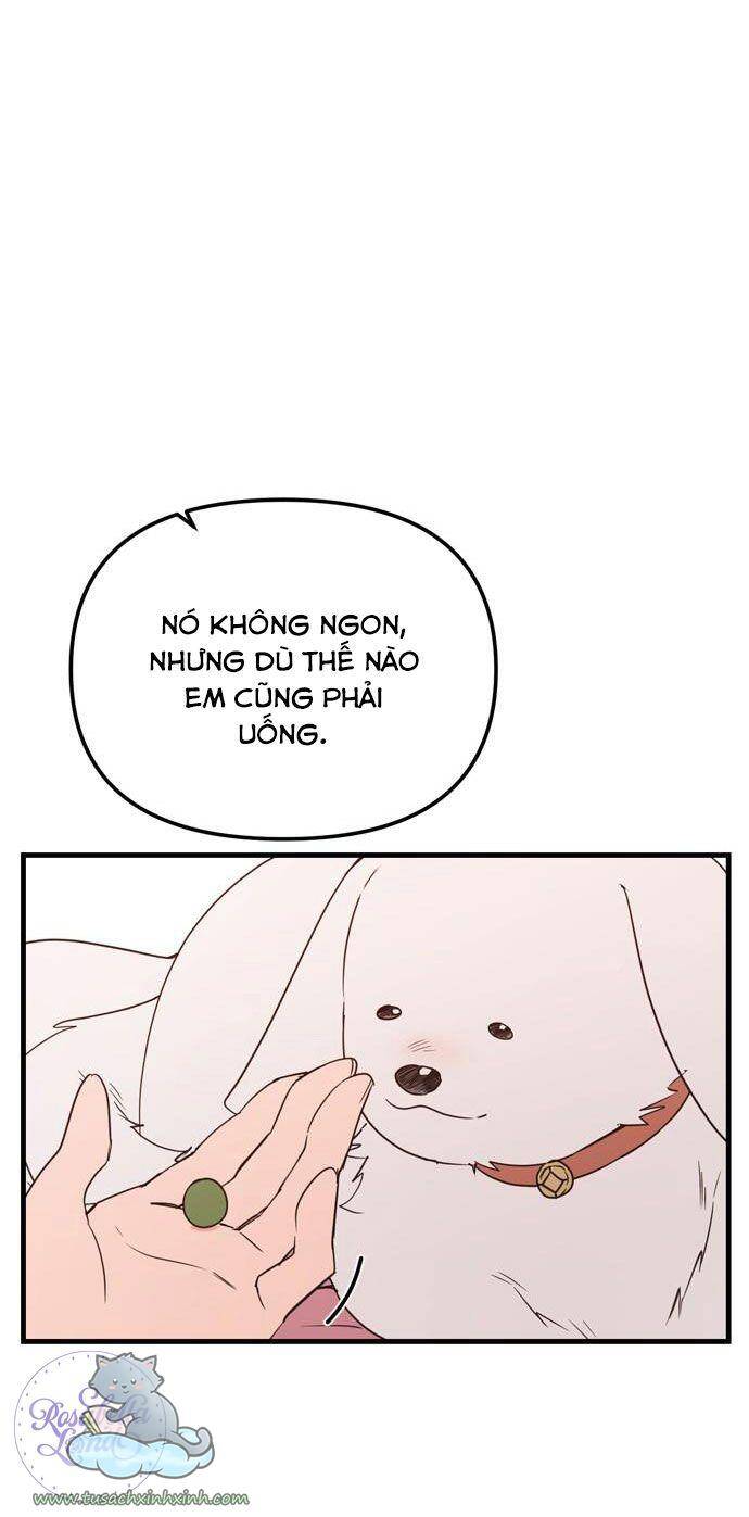 Căn Hộ Ký Túc Xá Của Pháp Sư Chapter 13 - 40