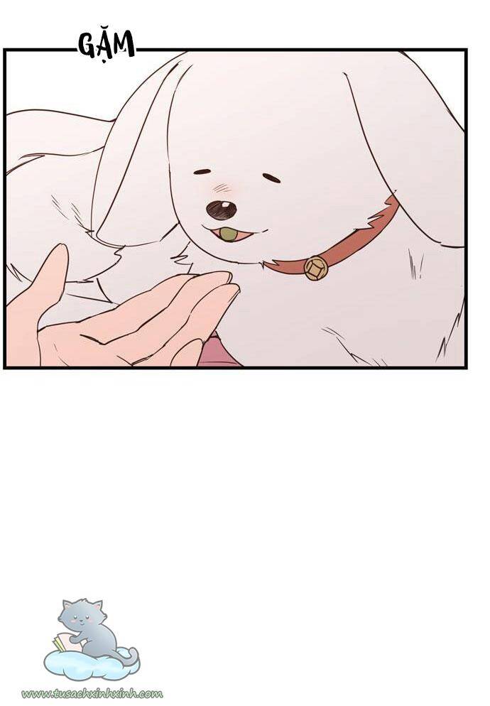 Căn Hộ Ký Túc Xá Của Pháp Sư Chapter 13 - 41