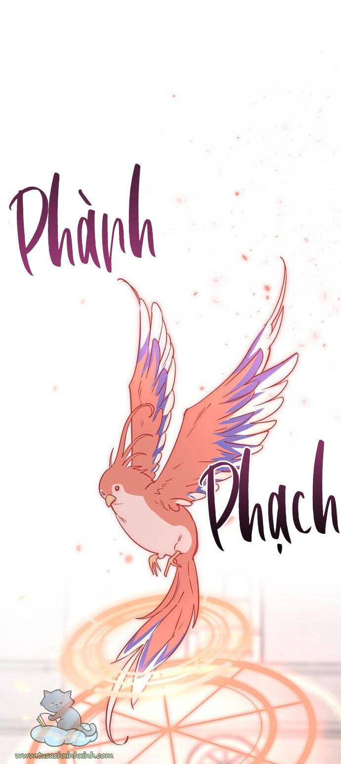 Căn Hộ Ký Túc Xá Của Pháp Sư Chapter 13 - 57