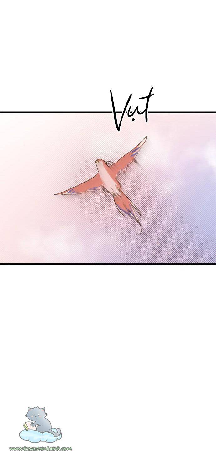 Căn Hộ Ký Túc Xá Của Pháp Sư Chapter 13 - 59