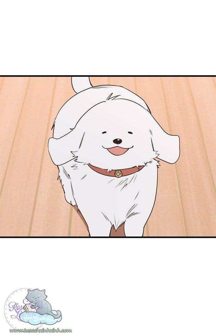 Căn Hộ Ký Túc Xá Của Pháp Sư Chapter 13 - 8