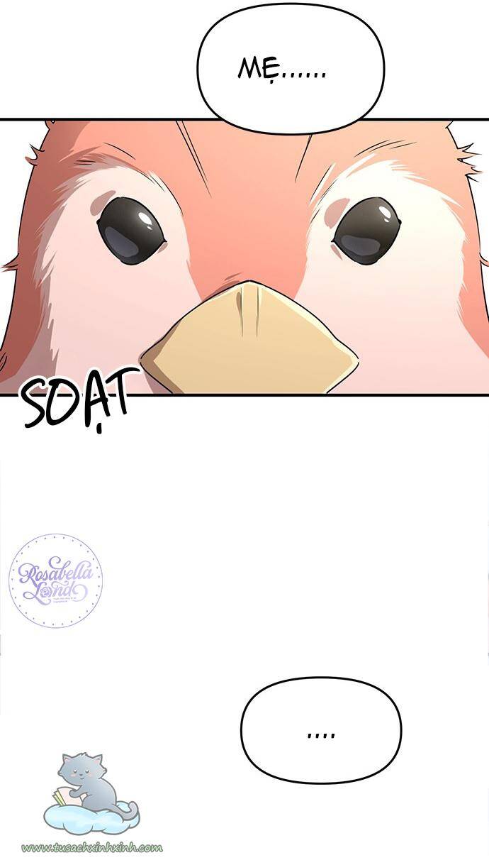 Căn Hộ Ký Túc Xá Của Pháp Sư Chapter 5 - 49