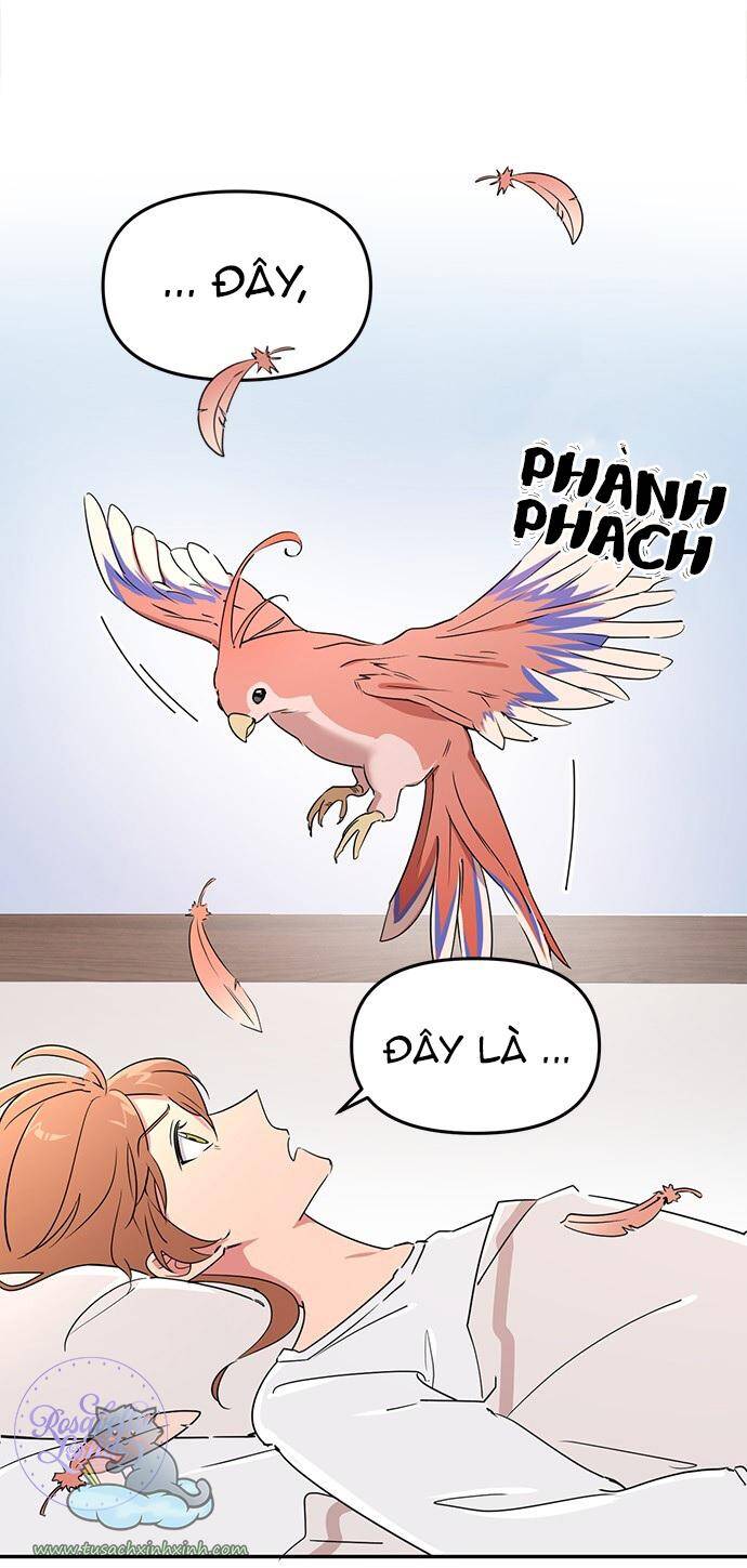 Căn Hộ Ký Túc Xá Của Pháp Sư Chapter 5 - 50