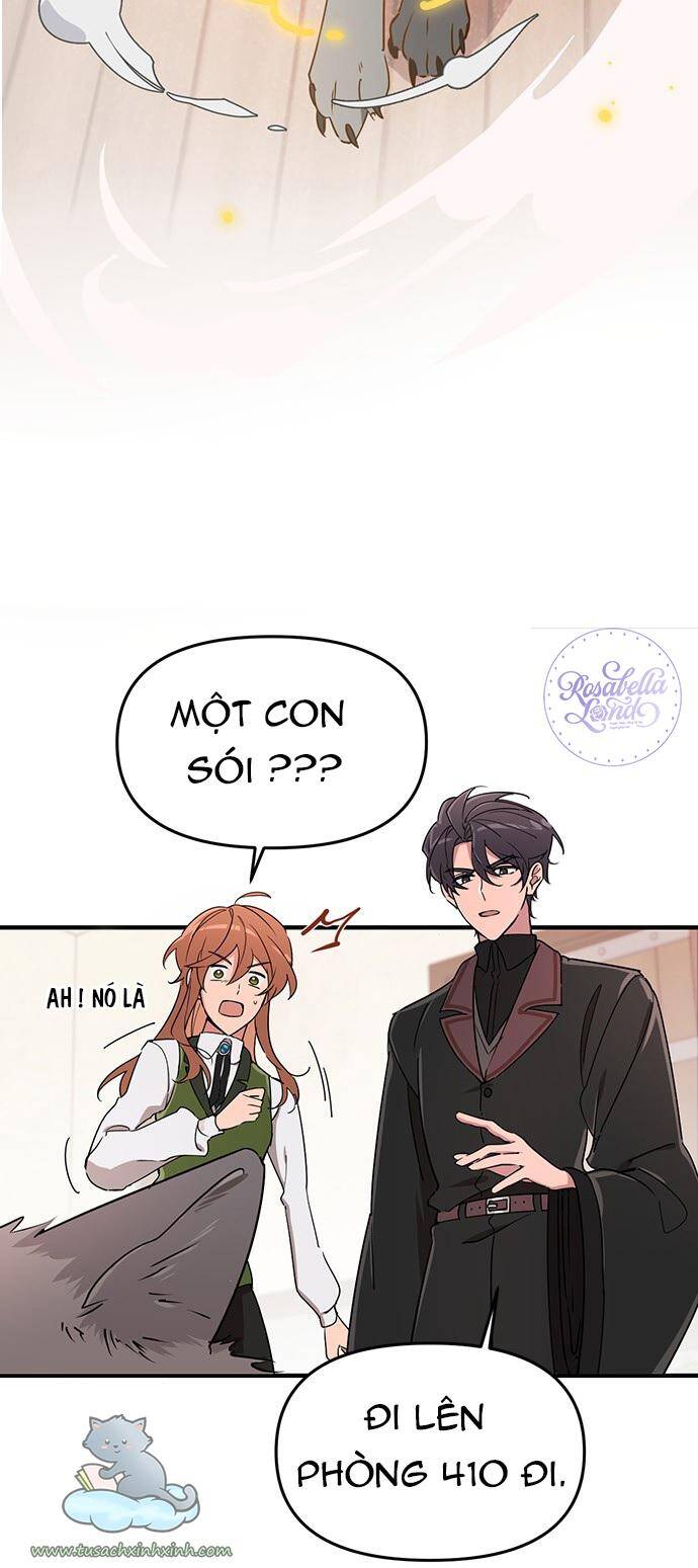 Căn Hộ Ký Túc Xá Của Pháp Sư Chapter 5 - 59