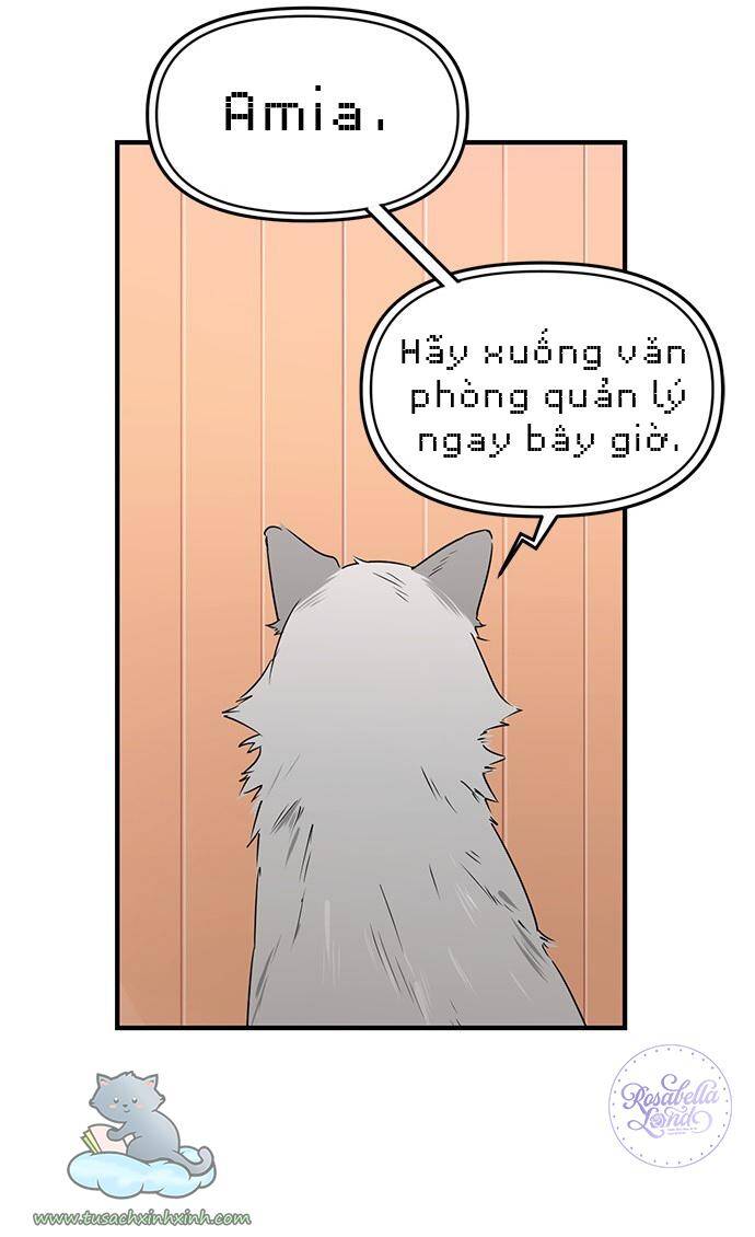 Căn Hộ Ký Túc Xá Của Pháp Sư Chapter 5 - 61