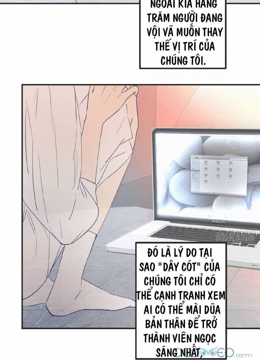 Sổ Tay Nuôi Dưỡng Rồng Chapter 1 - 5