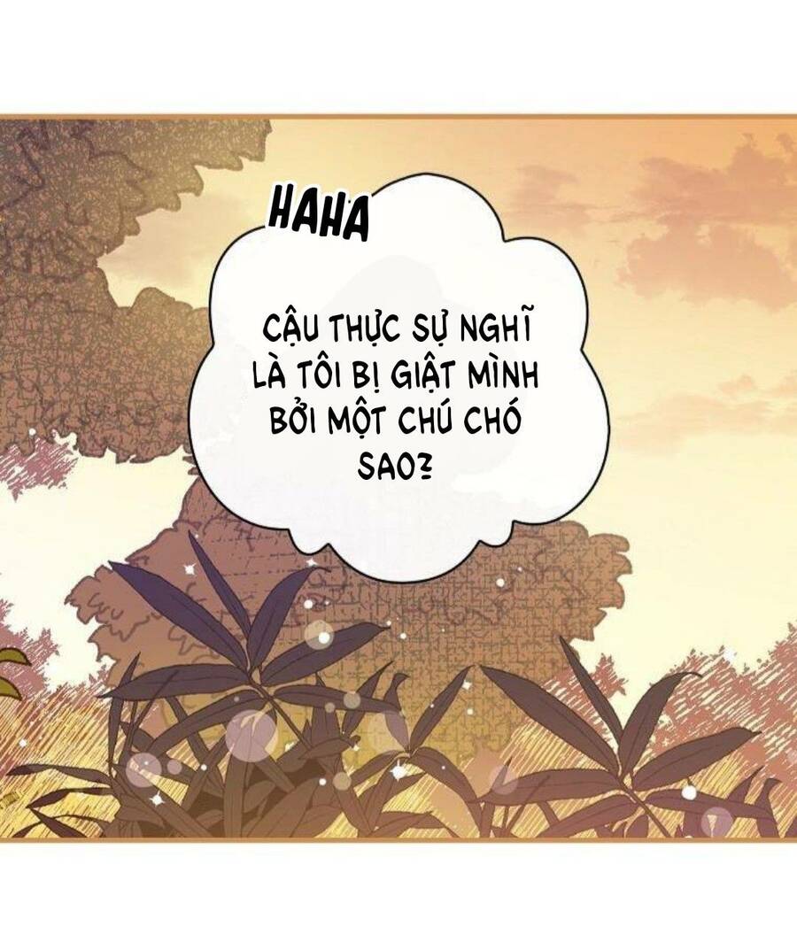 Giai Điệu Của Nhành Cây Khô Héo Chapter 11 - 9