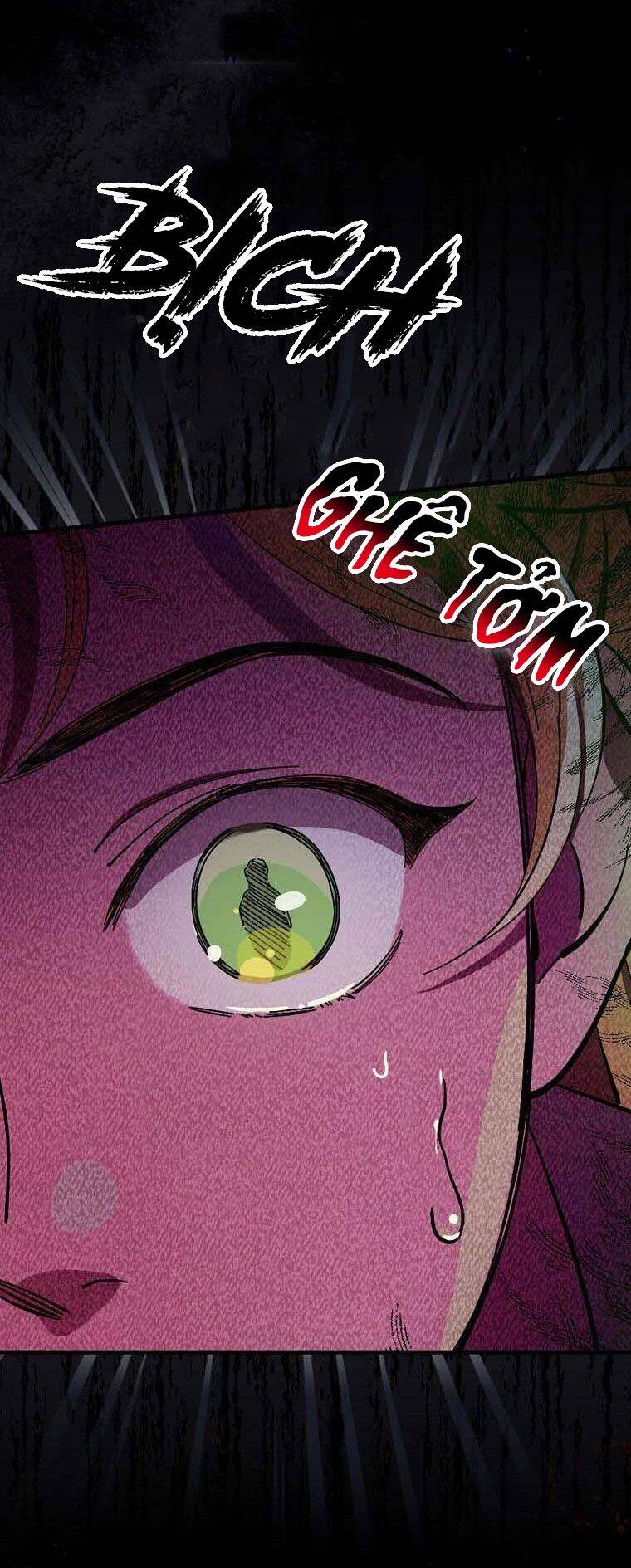 Giai Điệu Của Nhành Cây Khô Héo Chapter 14 - 74