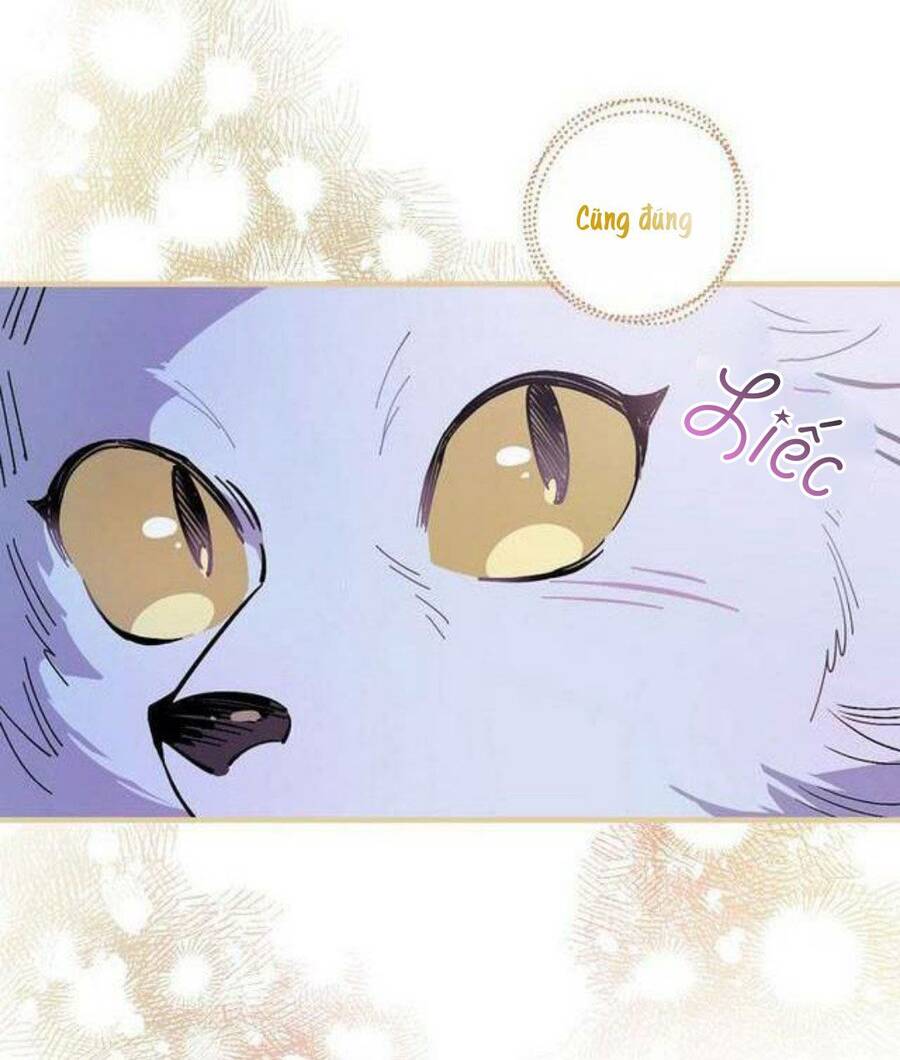 Giai Điệu Của Nhành Cây Khô Héo Chapter 17 - 54