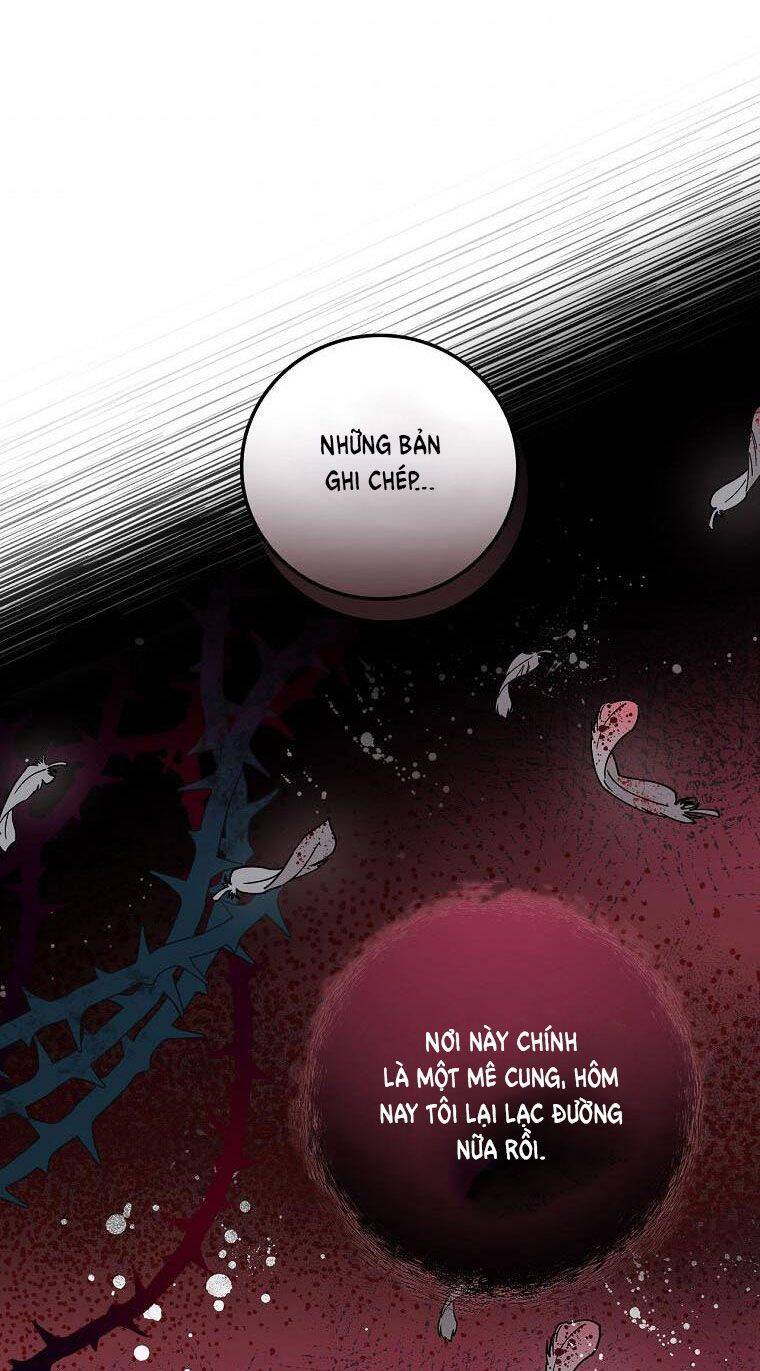 Giai Điệu Của Nhành Cây Khô Héo Chapter 20 - 29