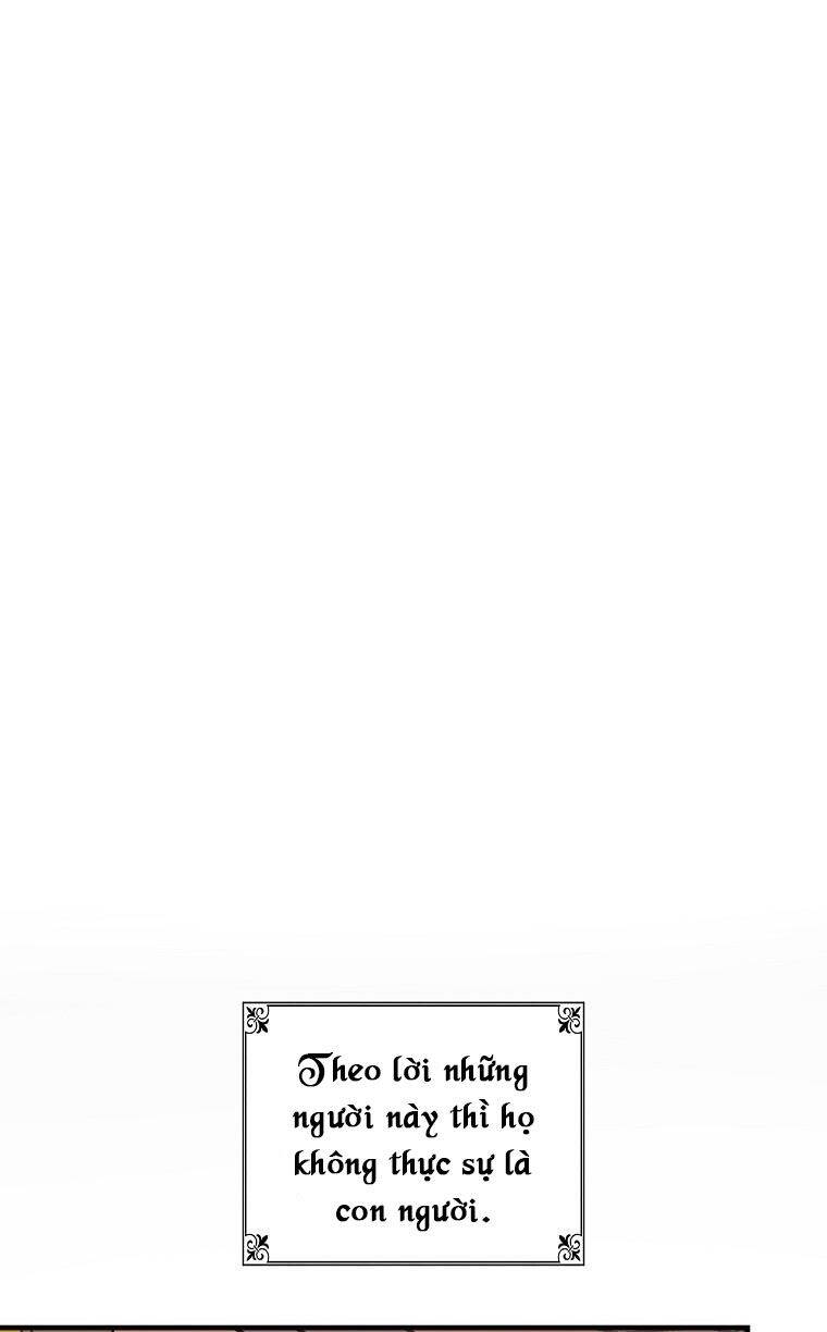 Giai Điệu Của Nhành Cây Khô Héo Chapter 3 - 12