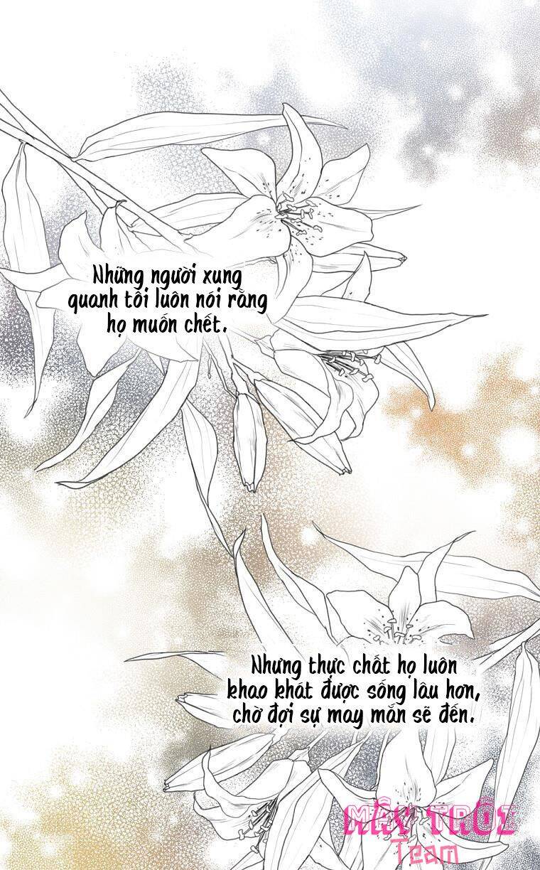 Giai Điệu Của Nhành Cây Khô Héo Chapter 3 - 18