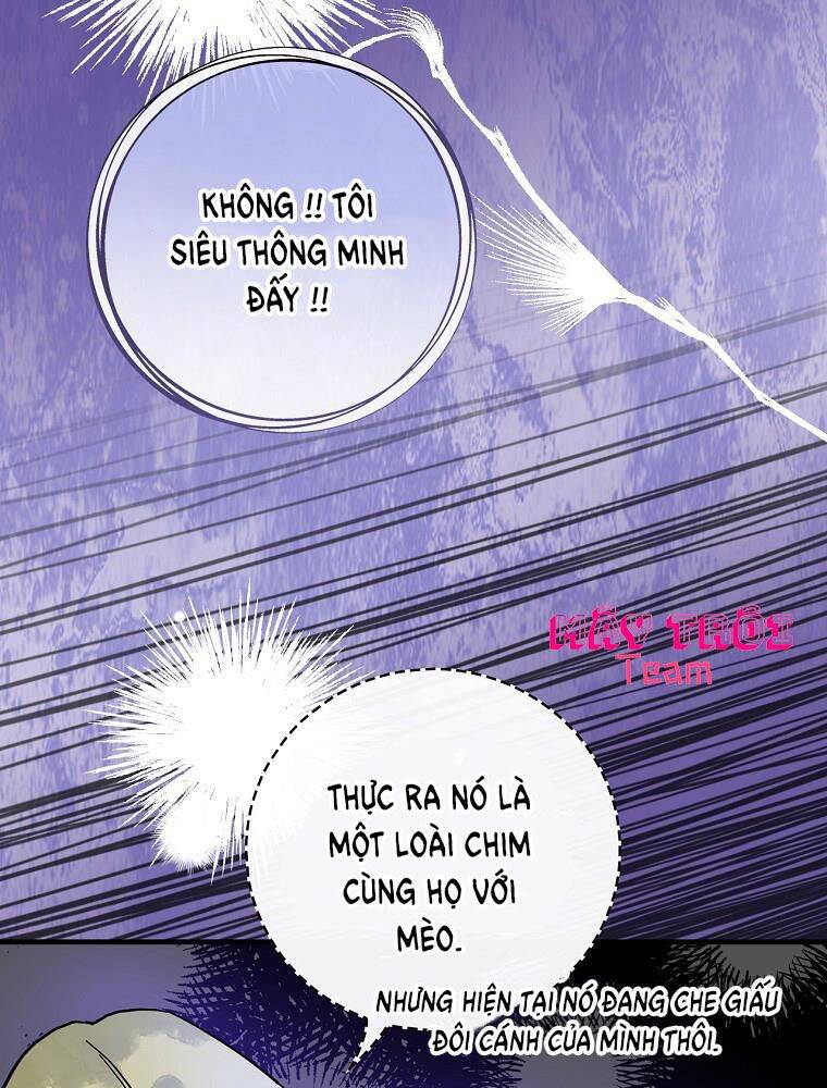 Giai Điệu Của Nhành Cây Khô Héo Chapter 5 - 16