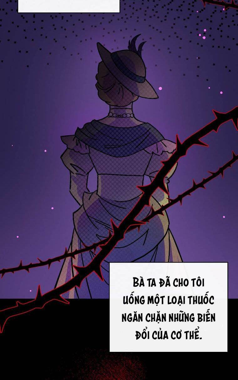 Giai Điệu Của Nhành Cây Khô Héo Chapter 6 - 19