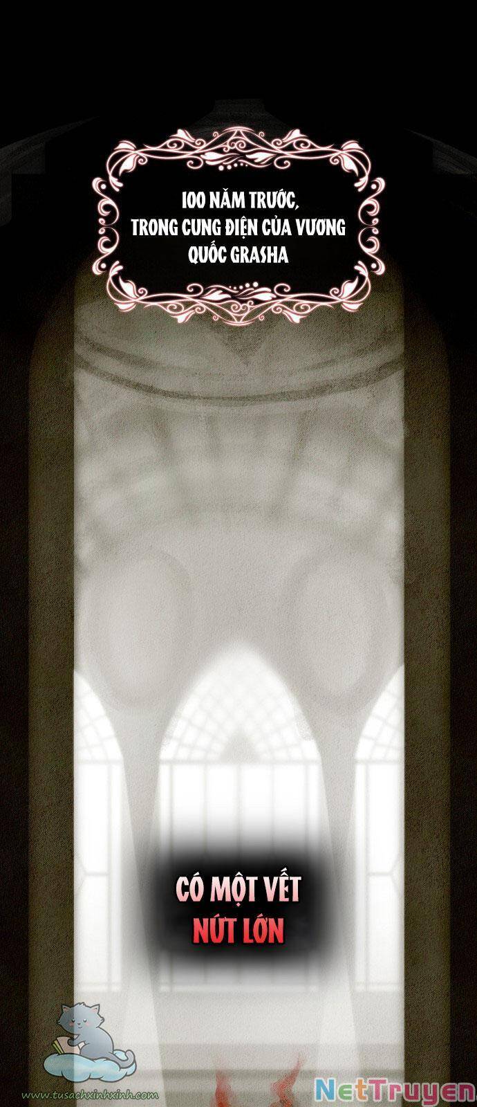 Regina Lena - Gửi Người Không Được Tha Thứ Chapter 12 - 57