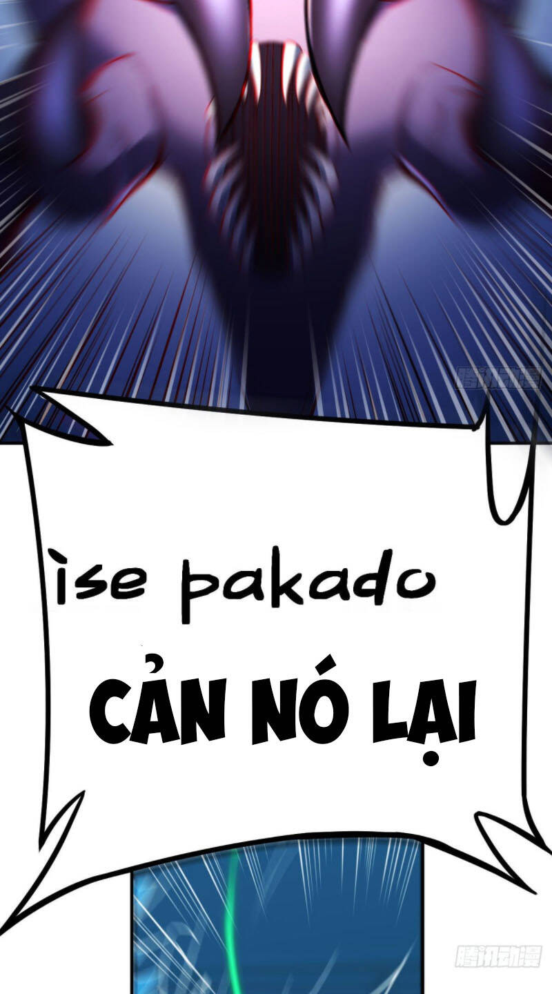 Trợ Lý Thánh Tôn, Ta Đã Vô Địch Chapter 19 - 51