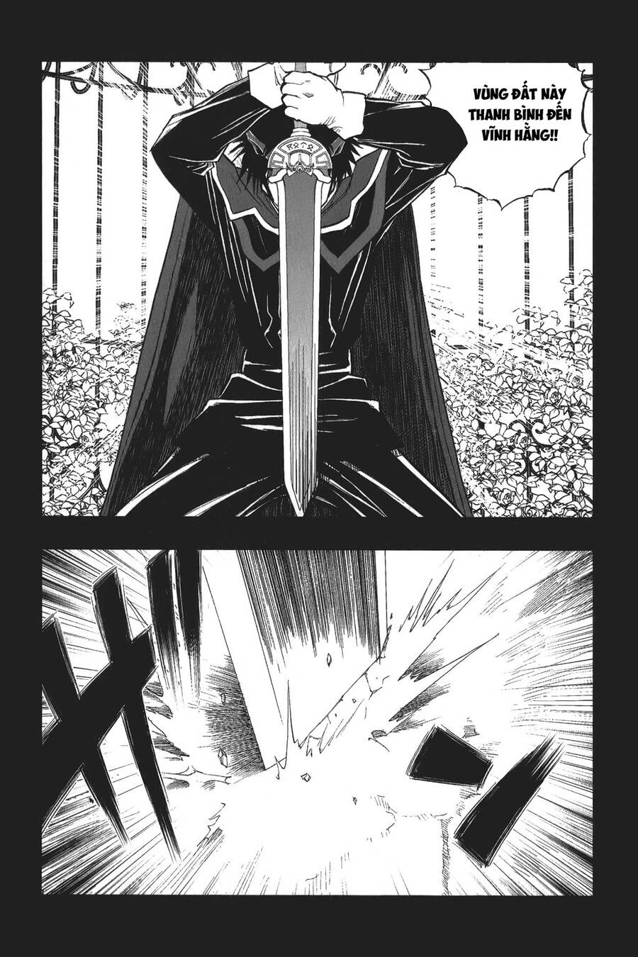Dấu Ấn Rồng Thiêng - Người Kế Thừa Thánh Huy Chapter 10 - 20