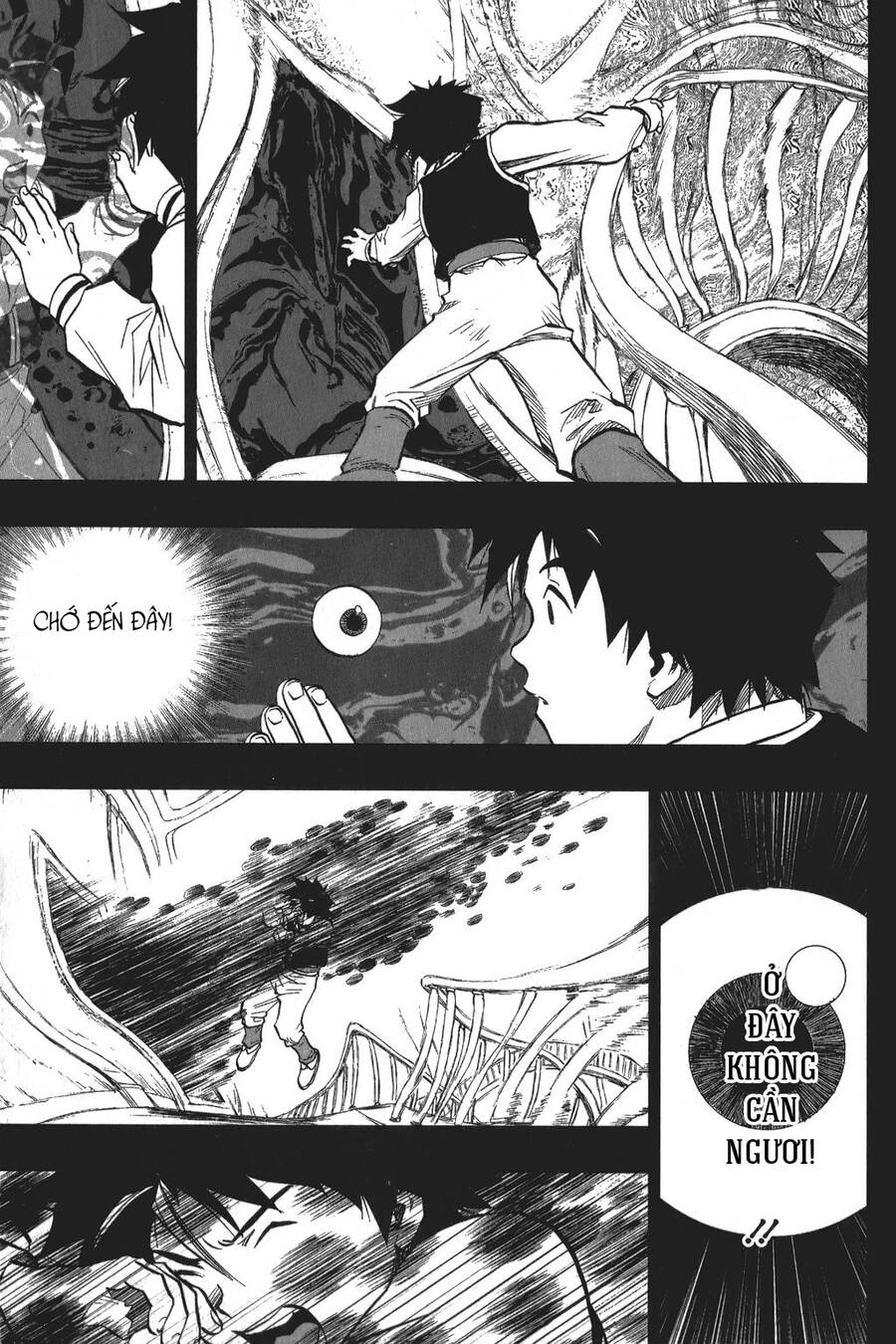 Dấu Ấn Rồng Thiêng - Người Kế Thừa Thánh Huy Chapter 11 - 15