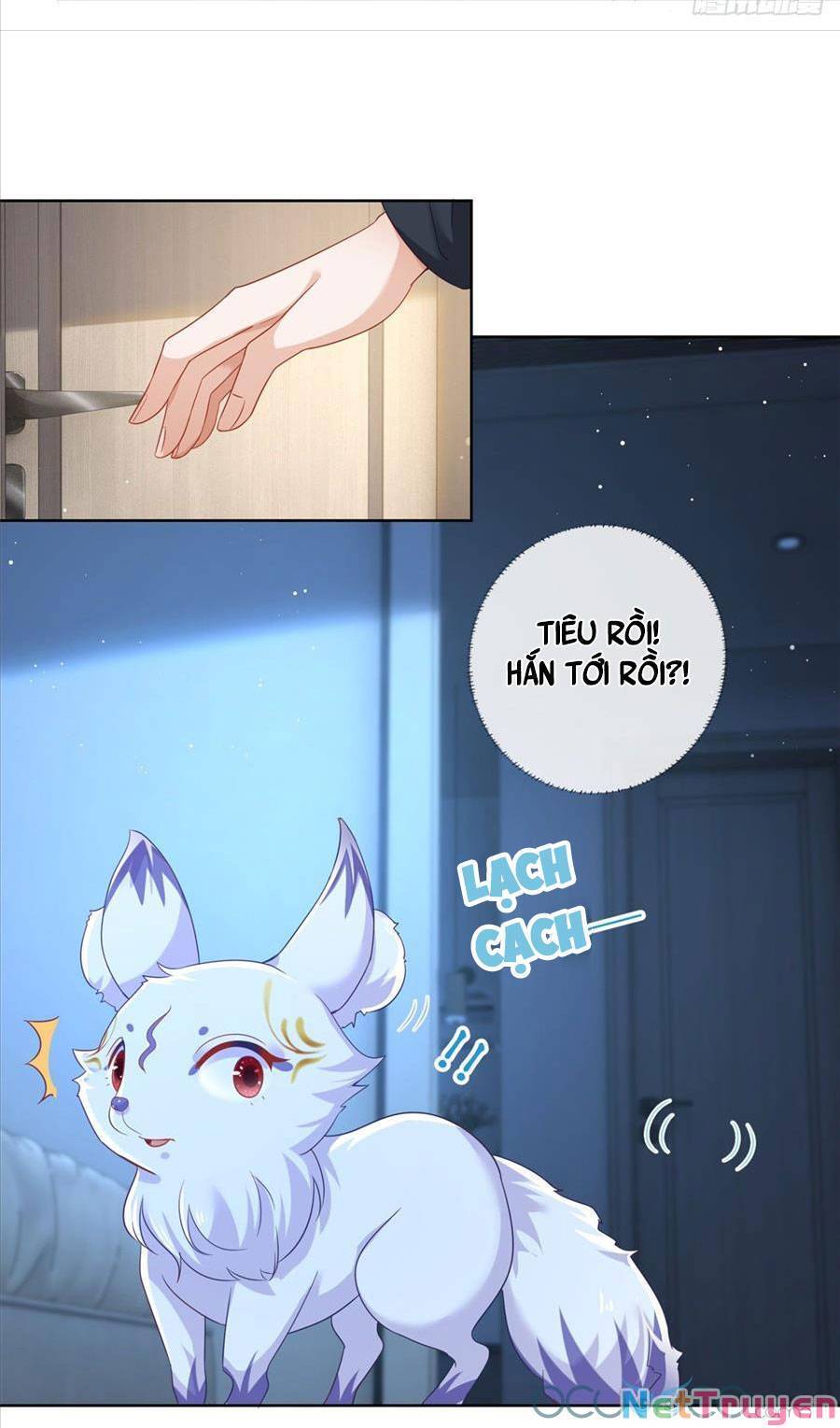Boss Sát Thủ Dưỡng Hồ Yêu Chapter 2 - 16