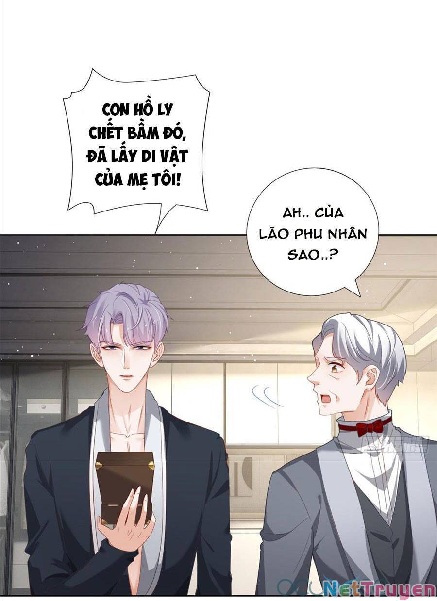 Boss Sát Thủ Dưỡng Hồ Yêu Chapter 2 - 22