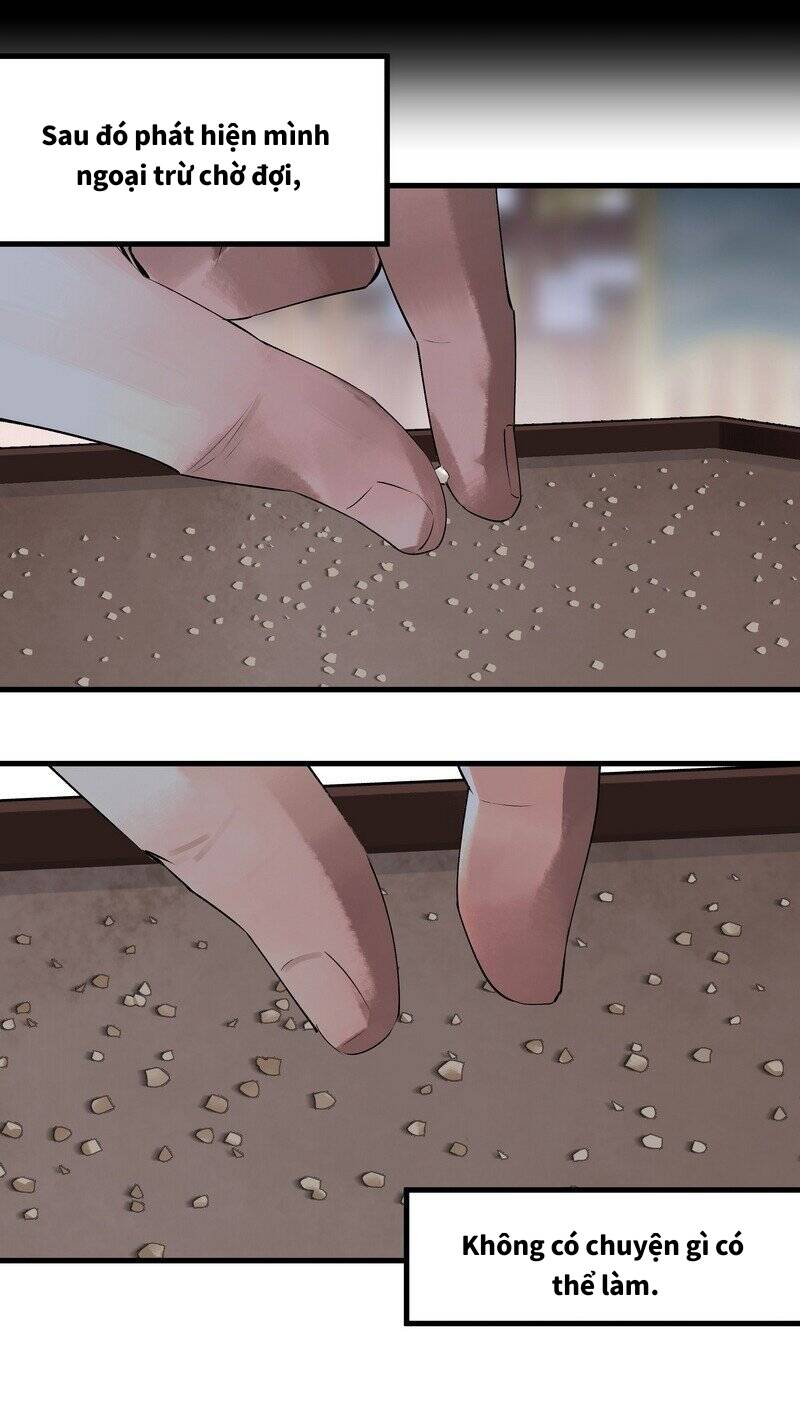 Đại Đạo Triều Thiên Chapter 17 - 3