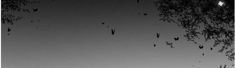 Dĩ Ái Chi Danh Chapter 1 - 12