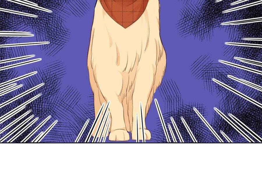 Dĩ Ái Chi Danh Chapter 17 - 13