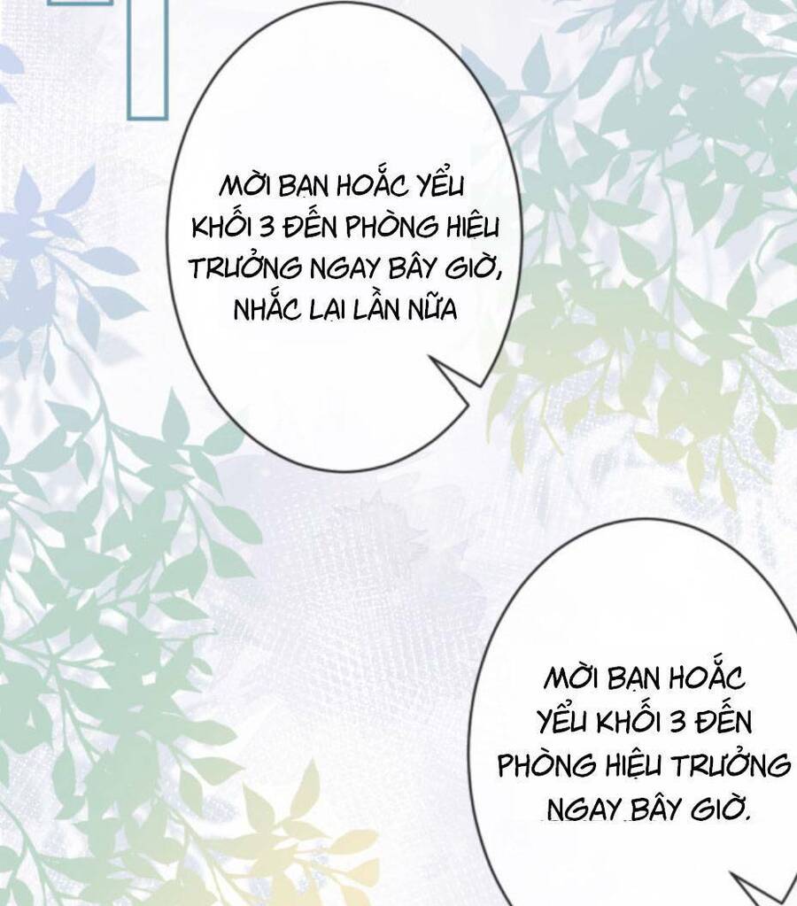 Ôm Khẩn Tiểu Mã Giáp Của Tôi Chapter 17 - 31