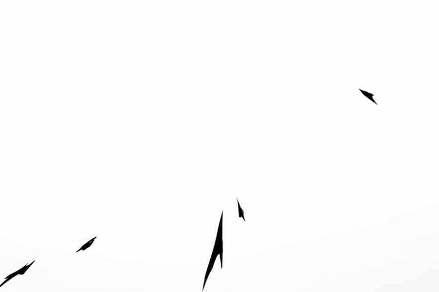 Tăng Cấp Bằng Việc Giơ Ngón Cái Chapter 17 - 172