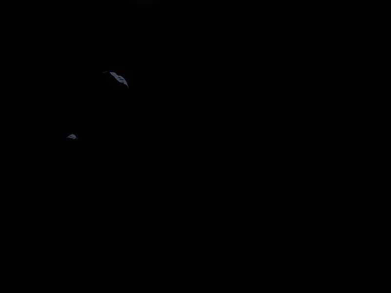 Bá Vương Chi Tinh Chapter 2.5 - 61