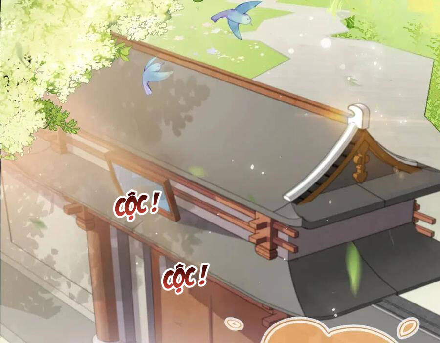 Nhặt Được Bảo Bối Manh Manh Chapter 5 - 8