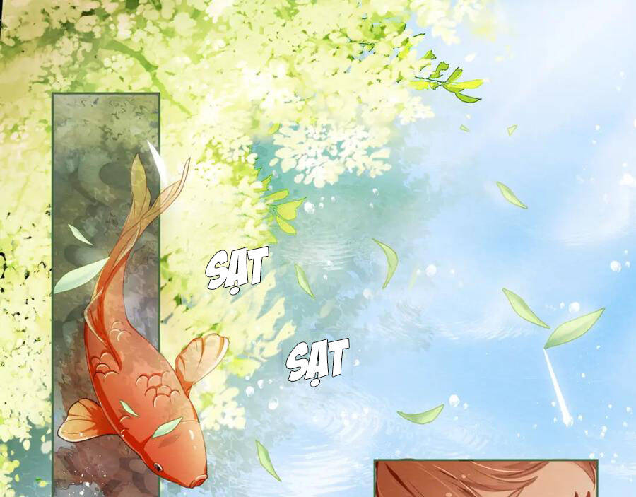 Nhặt Được Bảo Bối Manh Manh Chapter 1 - 49