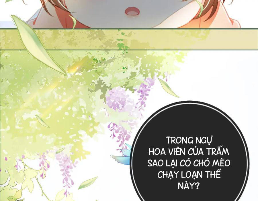 Nhặt Được Bảo Bối Manh Manh Chapter 1 - 81