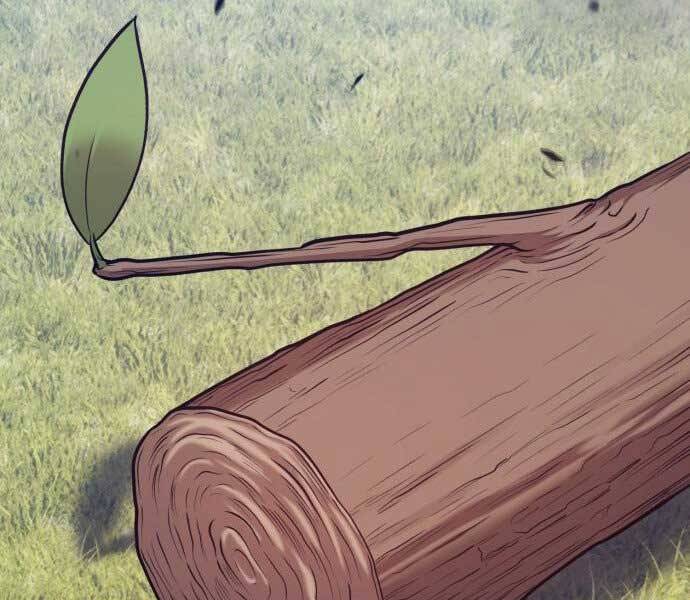 Gậy Gỗ Cấp 99+ Chapter 15.5 - 229