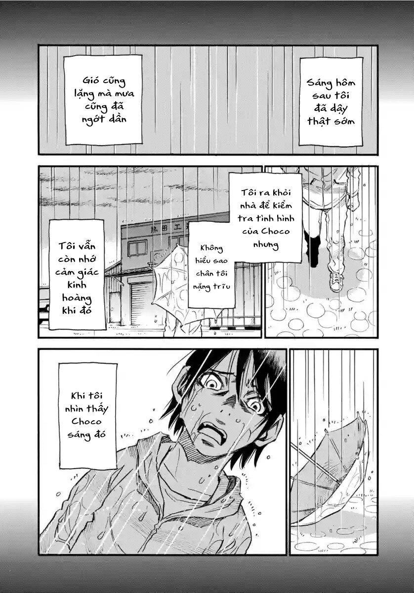 Hòn Đảo Nổi Trên Vũng Nước Bùn Chapter 17.1 - 9