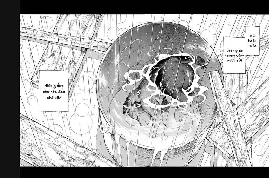 Hòn Đảo Nổi Trên Vũng Nước Bùn Chapter 17.1 - 10