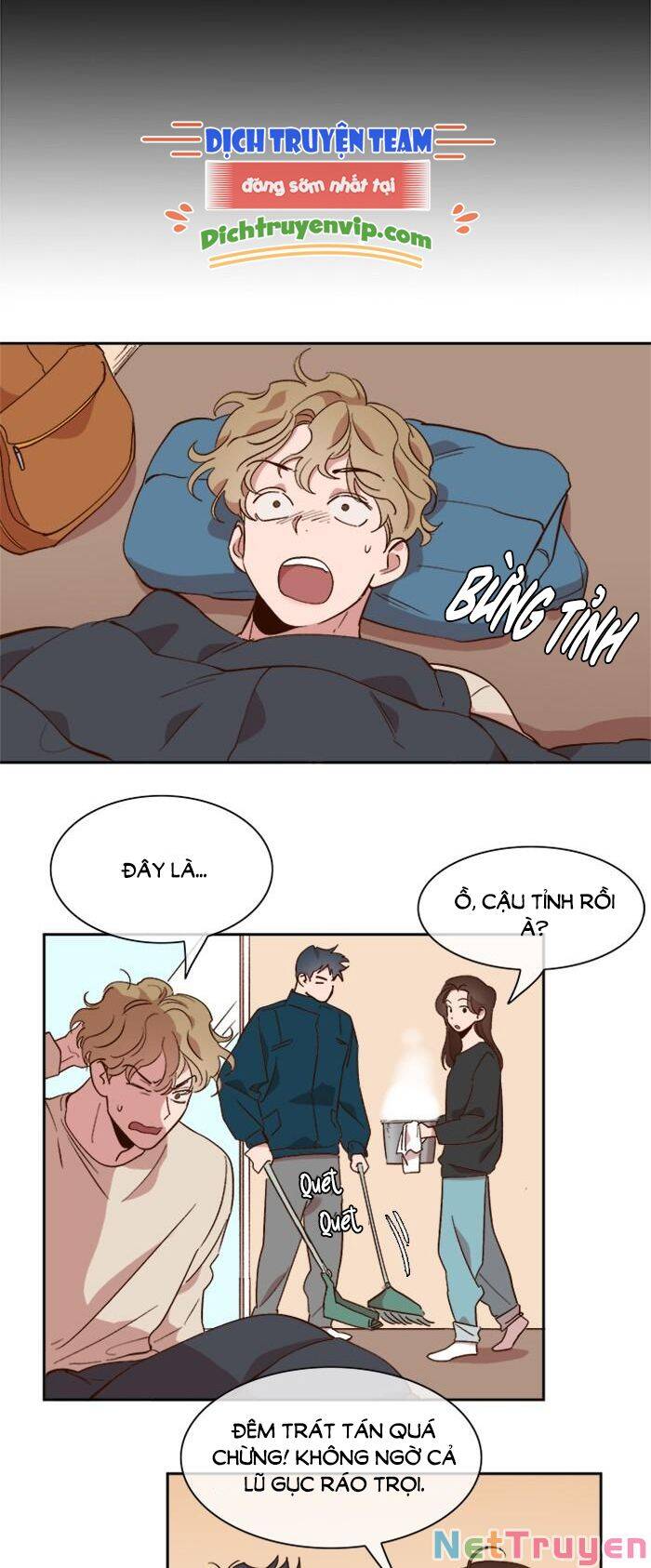 Quỷ Sứ Số 4 Chapter 41 - 12