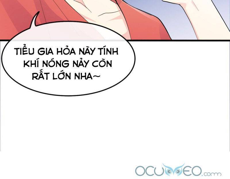 Tiểu Hồ Ly Hôm Nay Có Chút Ngoan Chapter 1 - 39