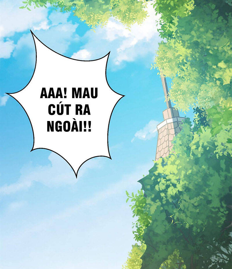 Tọa Ủng Tinh Cầu Chapter 4 - 17