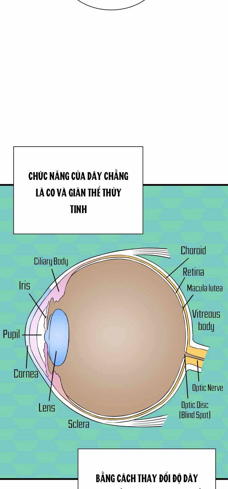 Bác Sĩ Hoàn Hảo Chapter 6 - 46
