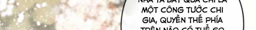 Bắt Đầu Hủy Hôn Để Công Lược Vương Gia Chapter 13 - 13