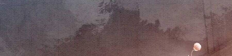 Bắt Đầu Hủy Hôn Để Công Lược Vương Gia Chapter 2 - 56