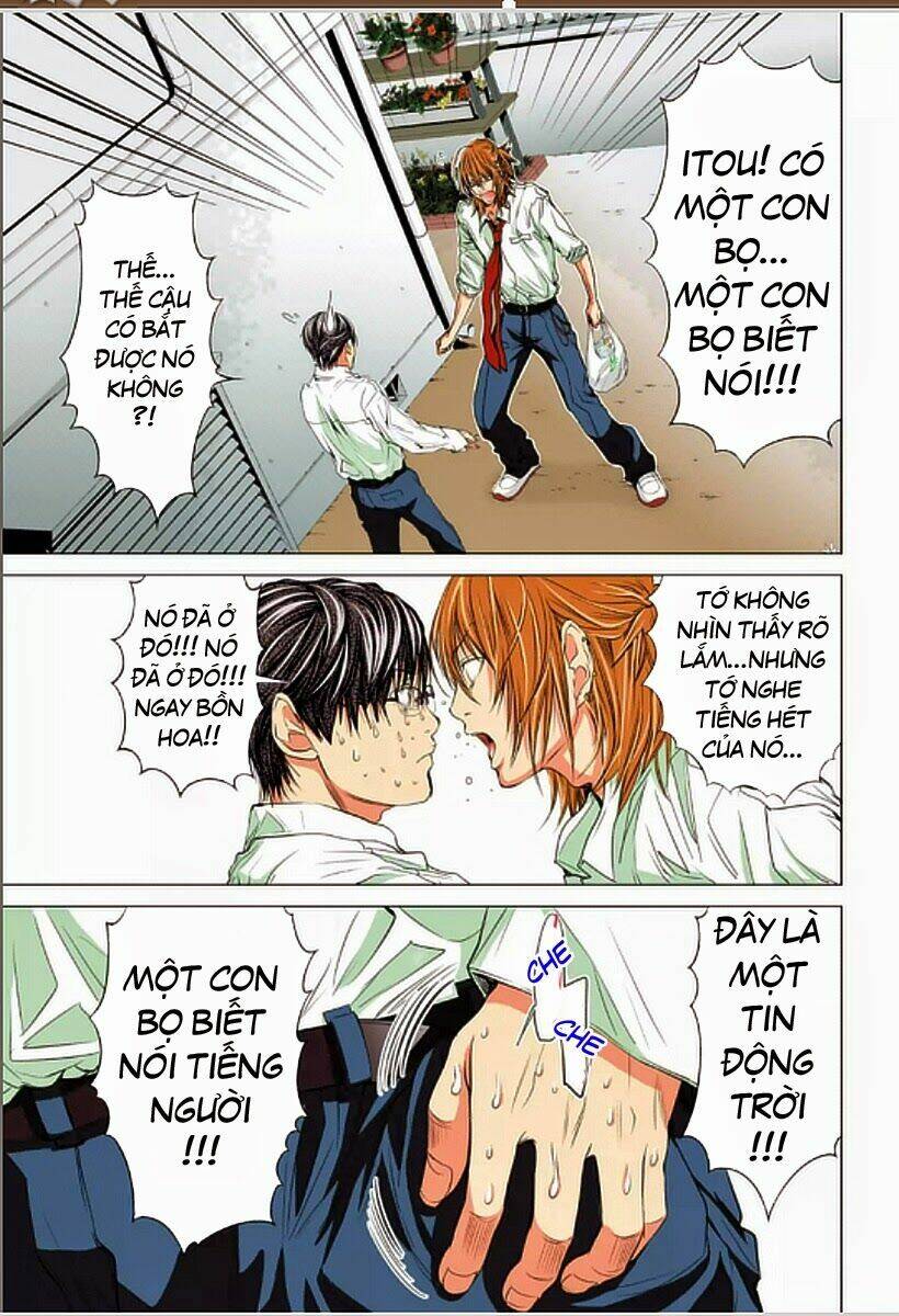 Minimum Chapter 6 - 13