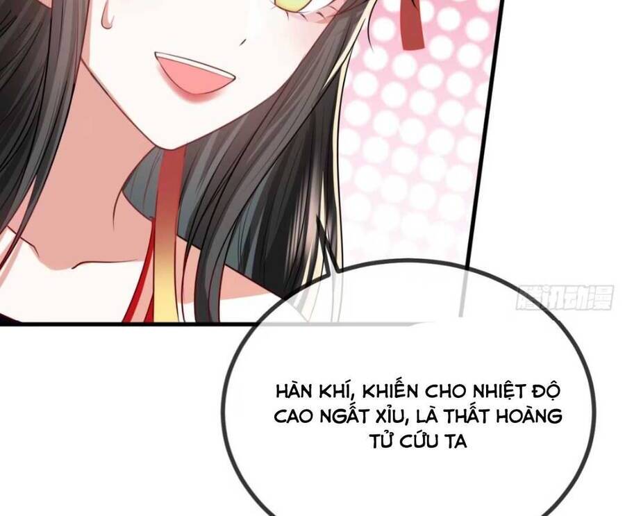 Đại Đích Nữ Trọng Sinh Về Báo Thù Chapter 12 - 28